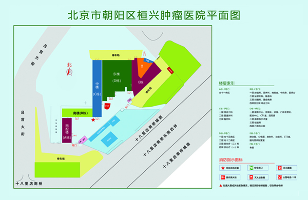 操逼通网北京市朝阳区桓兴肿瘤医院平面图